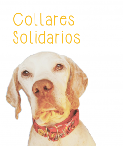Collares solidarios